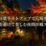 京都の紅葉ライトアップで穴場を発見。人混みを避けて楽しむ夜間拝観スポット