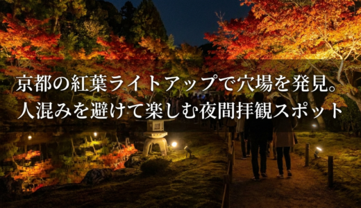 京都の紅葉ライトアップで穴場を発見。人混みを避けて楽しむ夜間拝観スポット