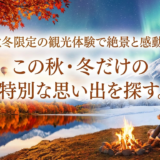 秋冬限定の観光体験で絶景と感動を。この秋・冬だけの特別な思い出を探す。